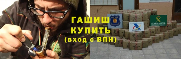 сатива Ельня