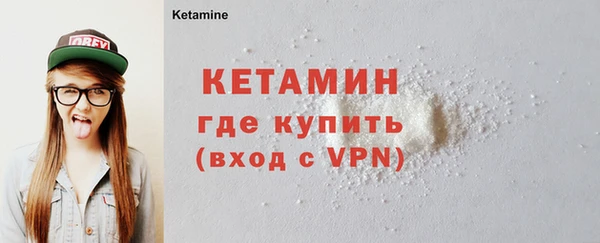 сатива Ельня