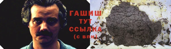 сатива Ельня