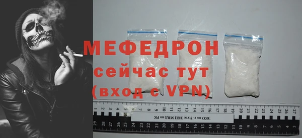 сатива Ельня