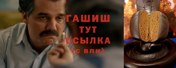 сатива Ельня