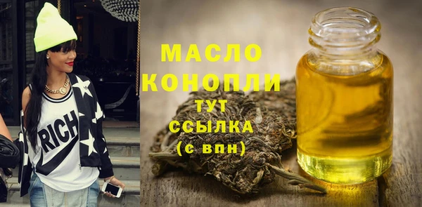 сатива Ельня