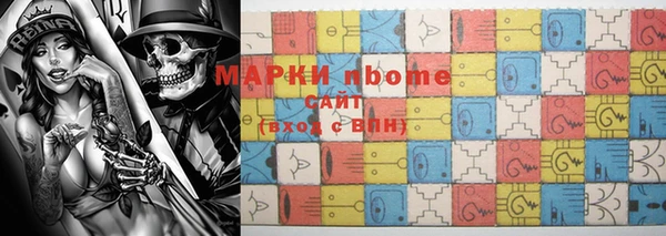 сатива Ельня