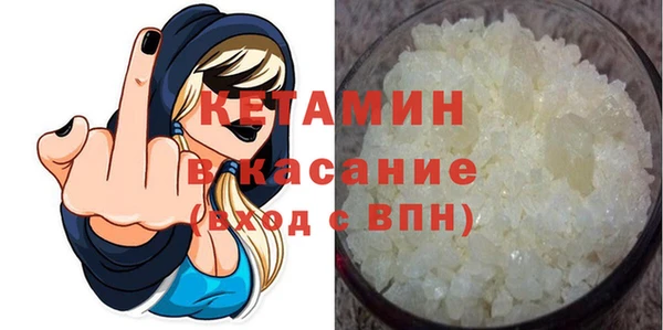 сатива Ельня