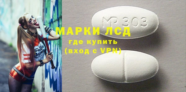 сатива Ельня