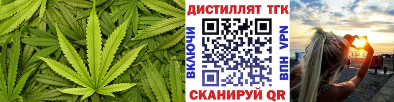 Купить закладки  Зубцов  Дистиллят ТГК THC oil 