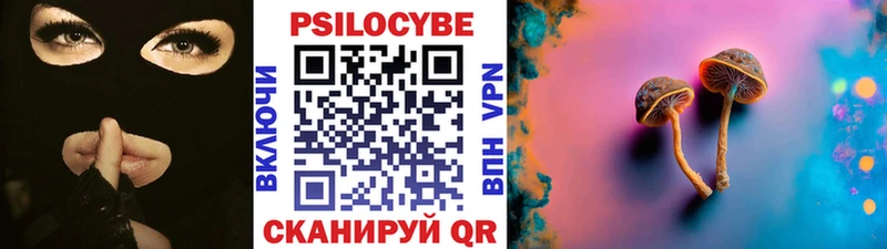 Купить где  Зубцов  Галлюциногенные грибы ЛСД 